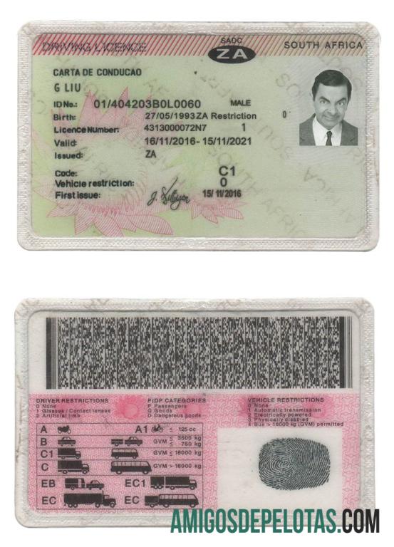 Carta de condução da África do Sul exemplo real